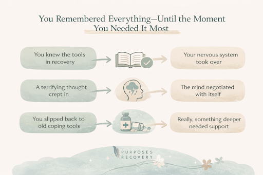 You Remembered Everything Until the Moment You Needed It Most
